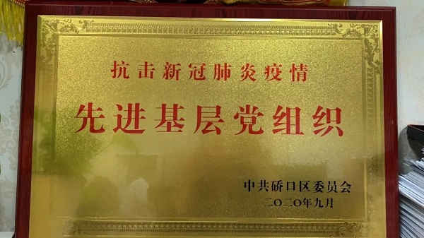 武漢仁愛(ài)醫院榮獲硚口區先進(jìn)基層黨組織表彰